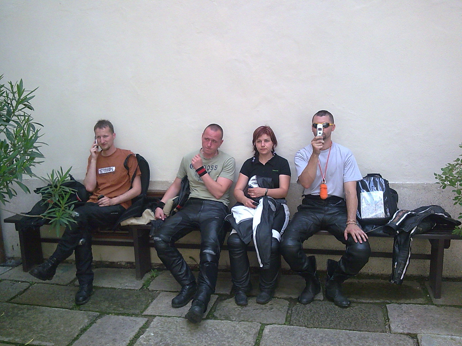 Obraz547.jpg