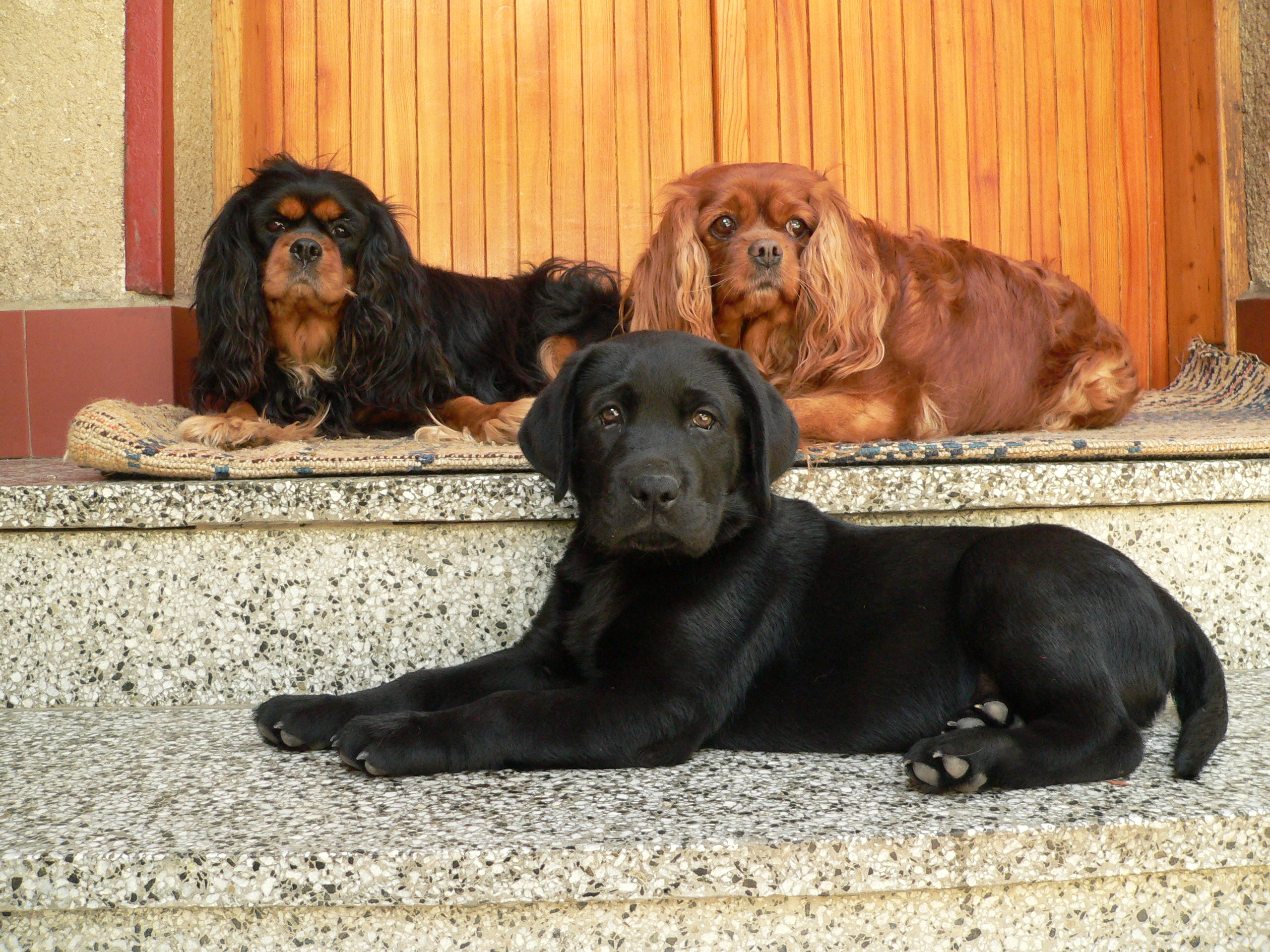 P1000771.JPG