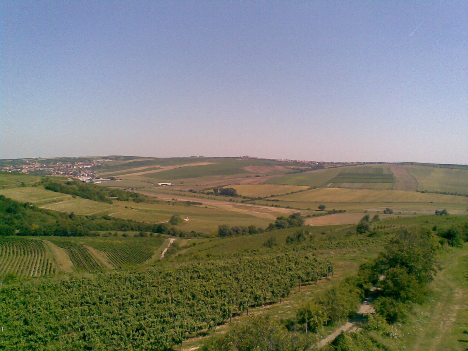 Obraz055.jpg