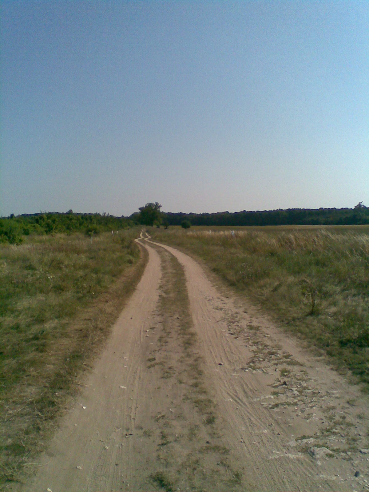 Obraz093.jpg