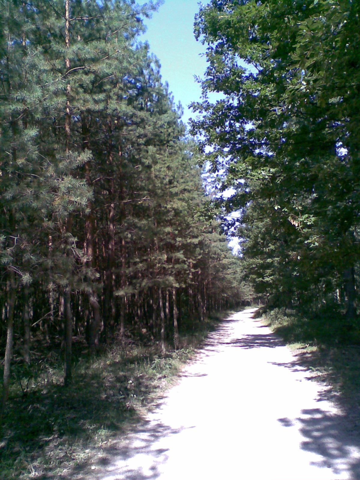 Obraz103.jpg
