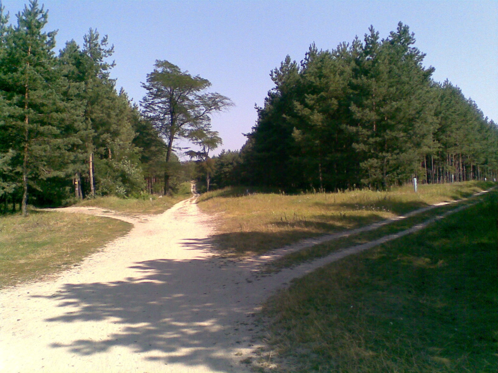 Obraz108.jpg