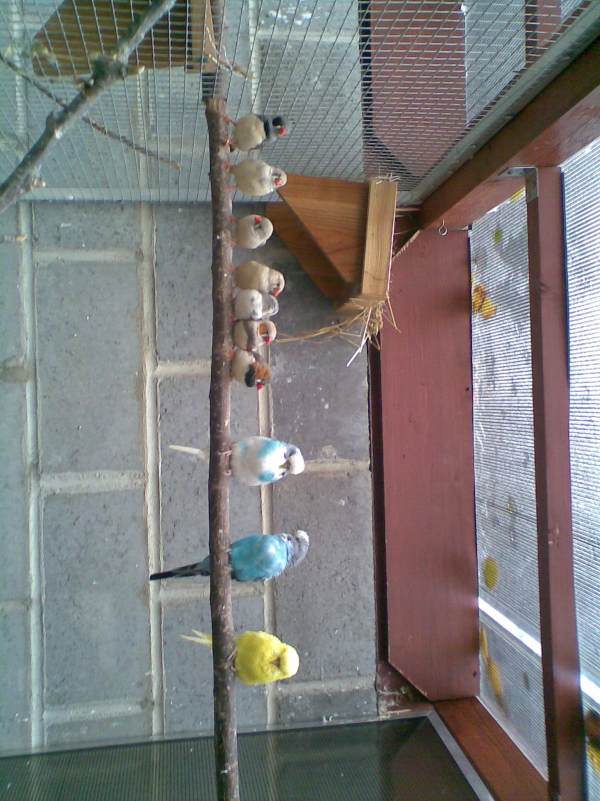 Obraz003.jpg