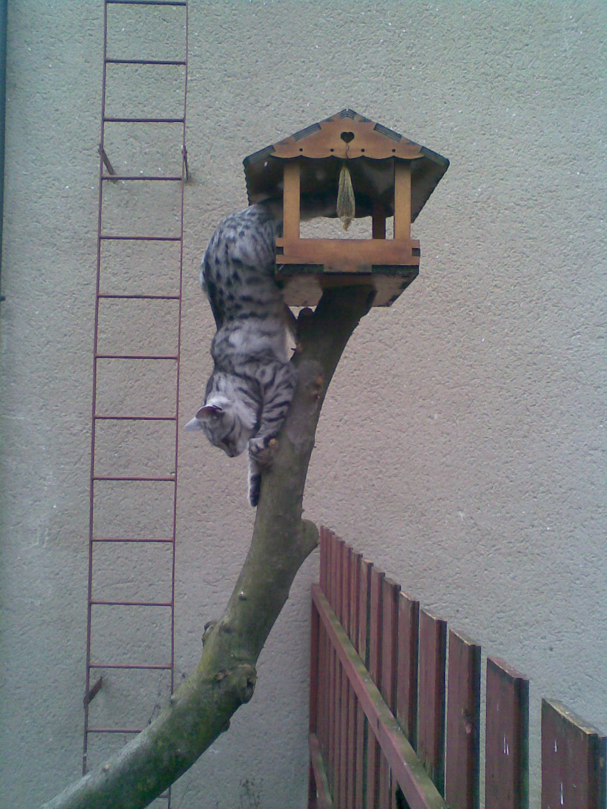 Obraz247.jpg