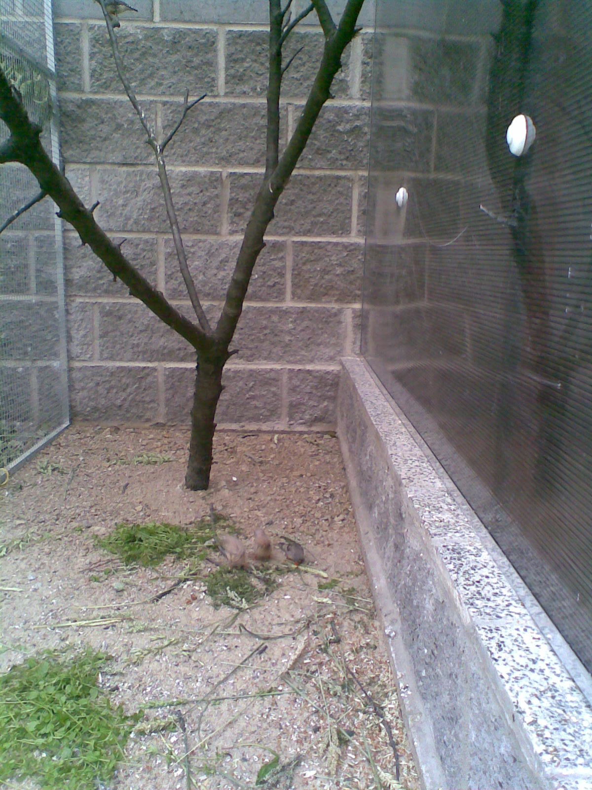 Obraz025.jpg