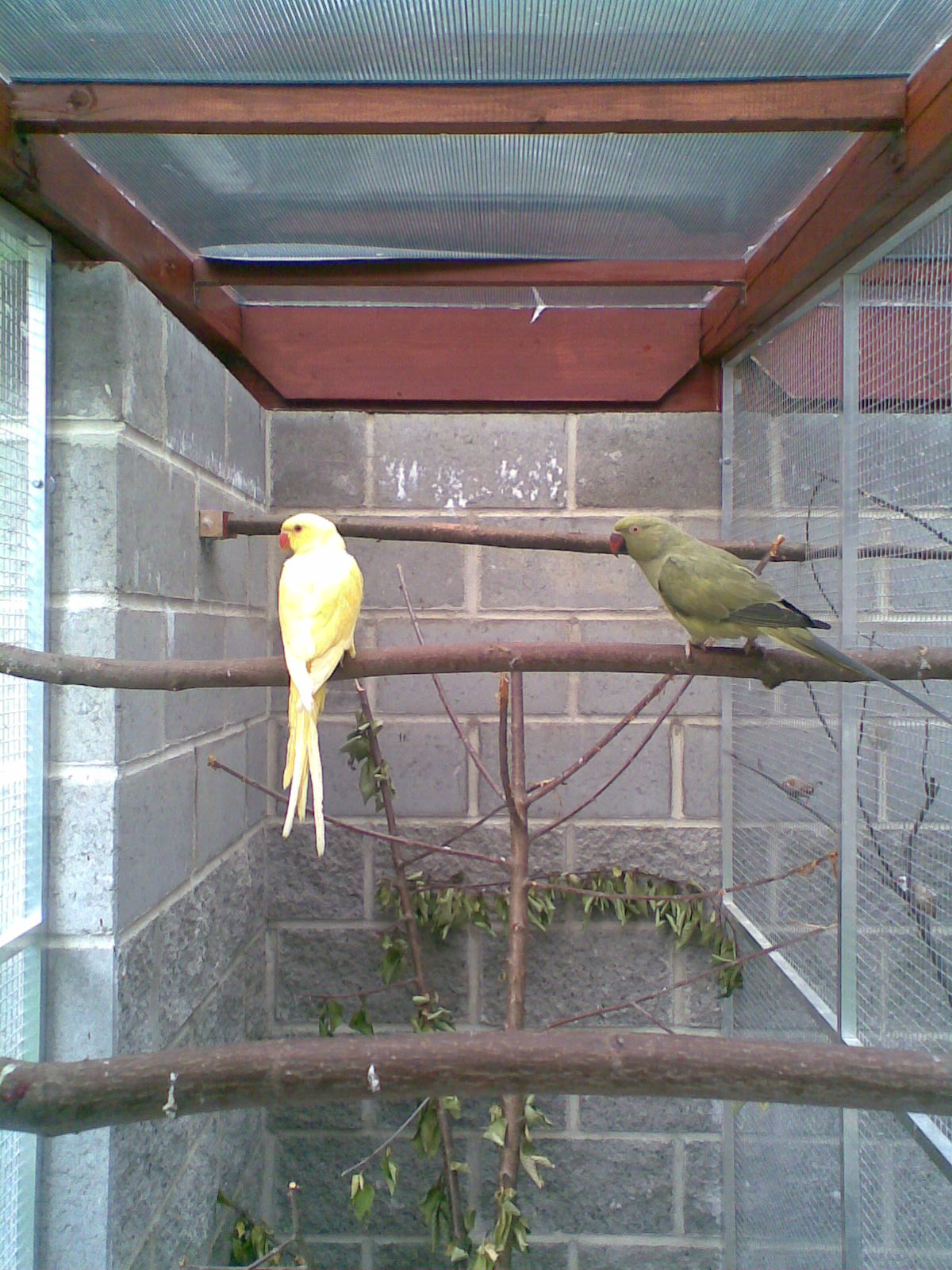 Obraz019.jpg